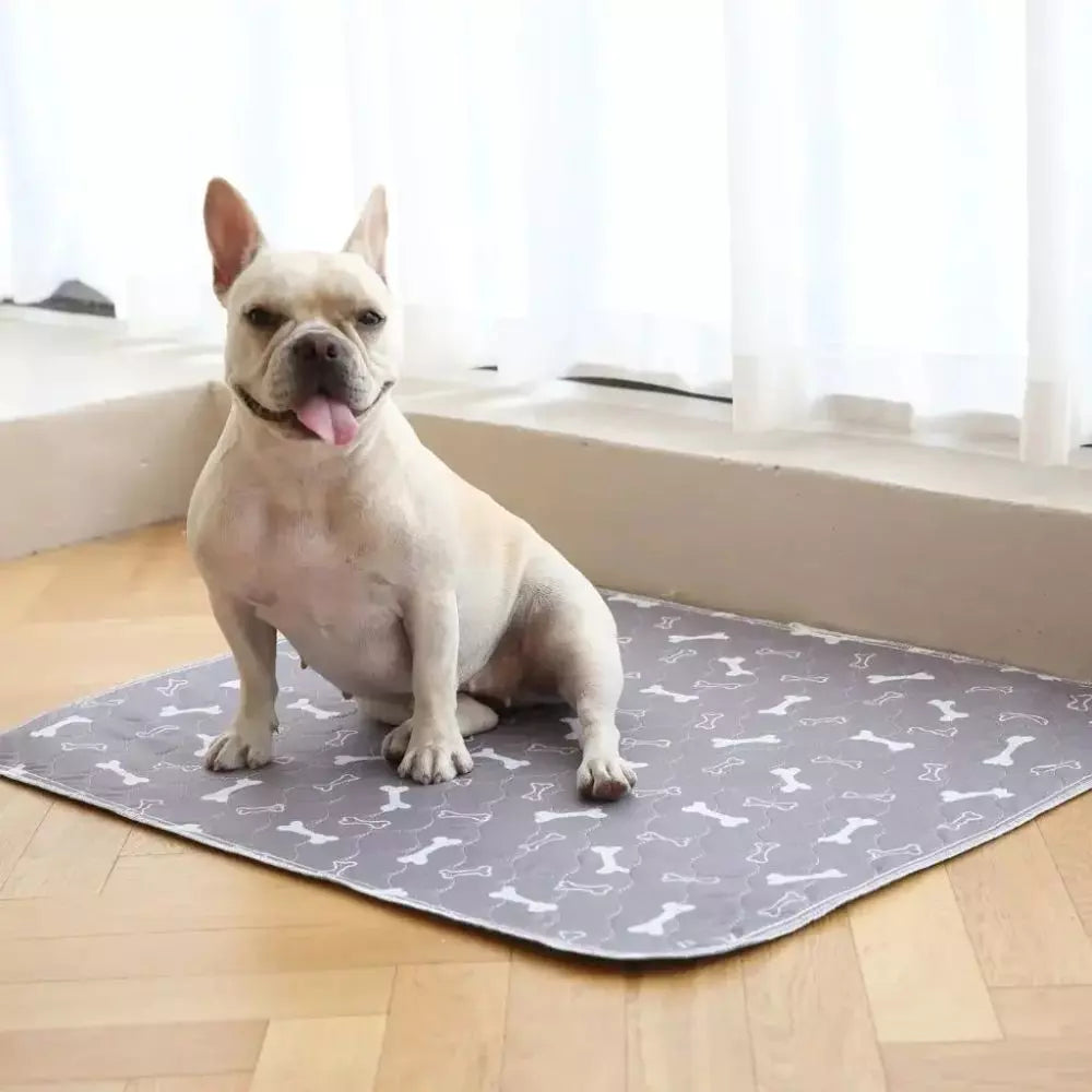 Wix Pure – tapis hygiénique, absorbant et lavable pour chiens et chiots